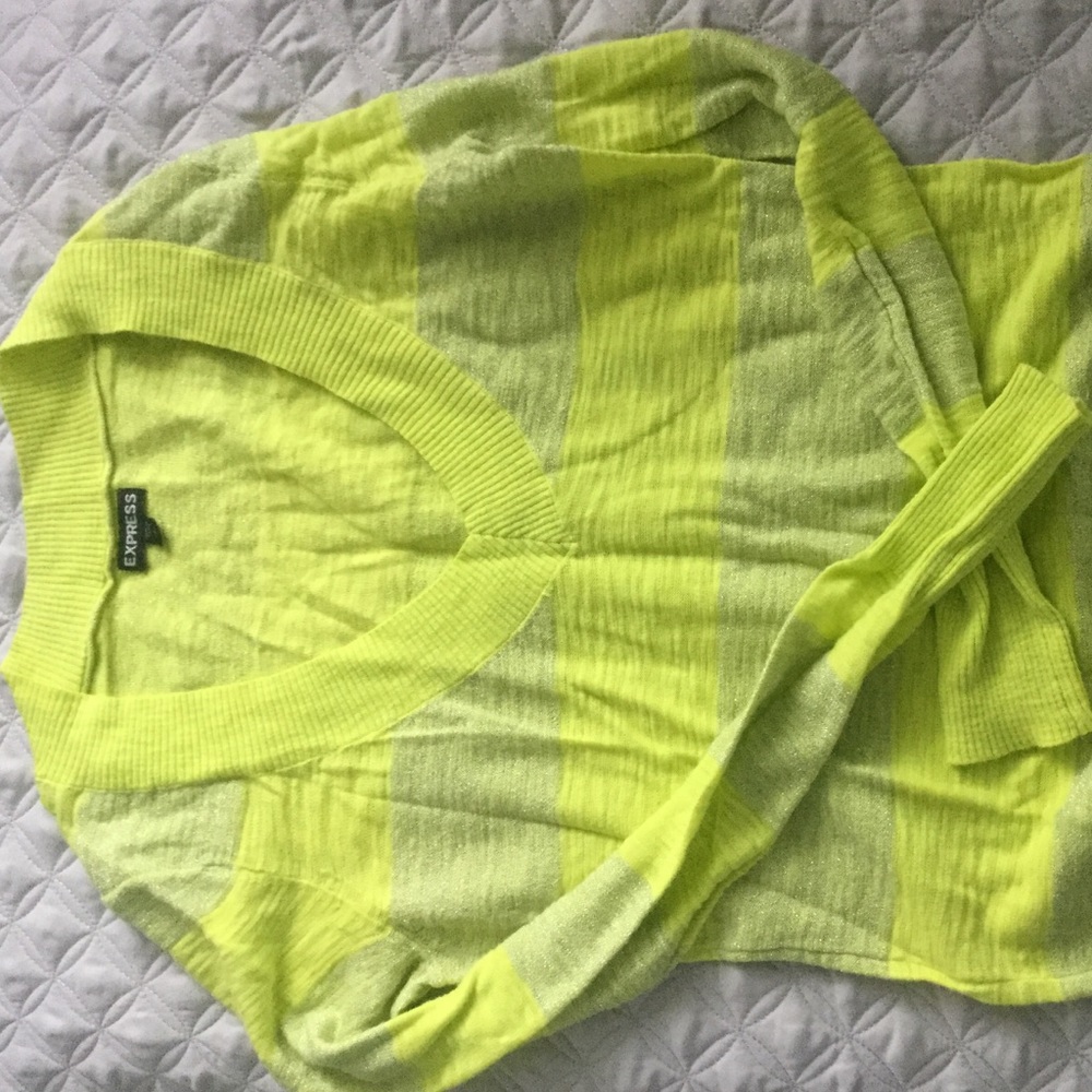 Express V-neck sweater